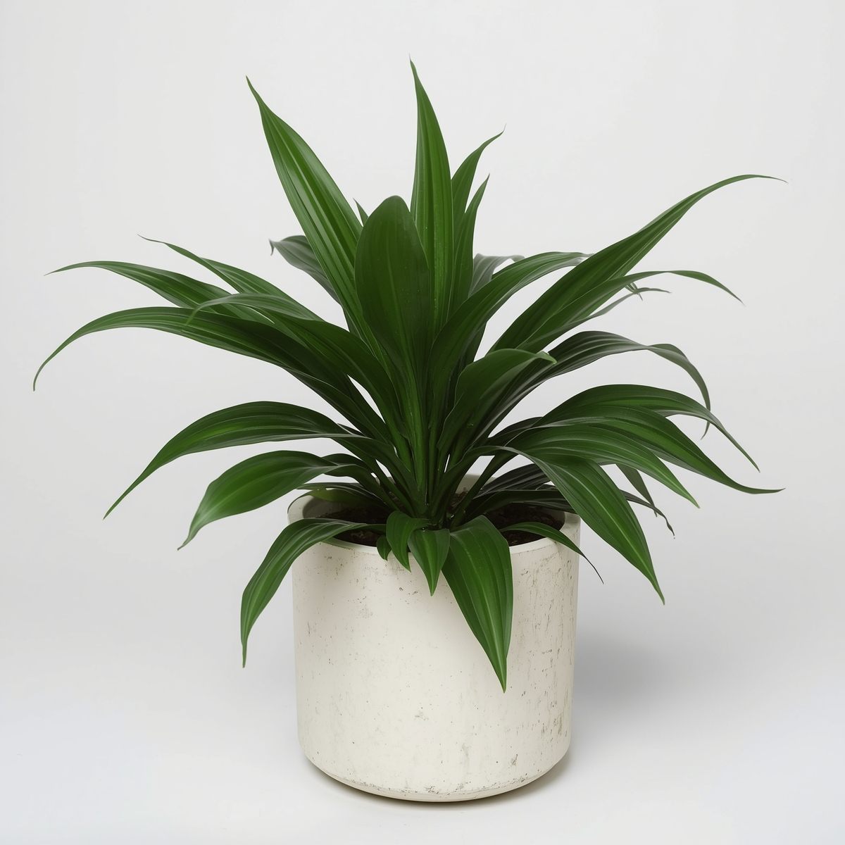 Plant fertilizing